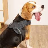 Dog Vest Own Patent Harness Luxury Special Reflective Material Strong Pet Harness