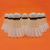 BWF Approved Professional Durable Badminton Shuttle Goose Feather International Tournament Badminton Shuttlecock(2 Tubes)