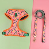 Large Dogs Luxury Cute Design Adjustable Designer Pet Dog Harness And Leash Set