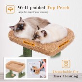 Cute Cat Tree Cactus Kitten Scratcher for Indoor Cats Sisal Scratch Post Small Green Cat Tower with Balls