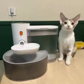 Wireless Pet Water Fountain with Filtration and Clean/Dirty Water Separation