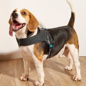 Dog Vest Own Patent Harness Luxury Special Reflective Material Strong Pet Harness